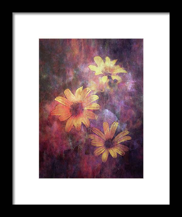 Lost Framed Print featuring the photograph Lost Glowing Wildflowers 5474 LDP_2 by Steven Ward