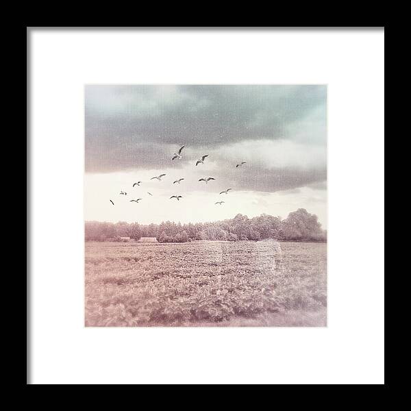 Digital Art Framed Print featuring the digital art Lost In The Fields Of Time by Melissa D Johnston