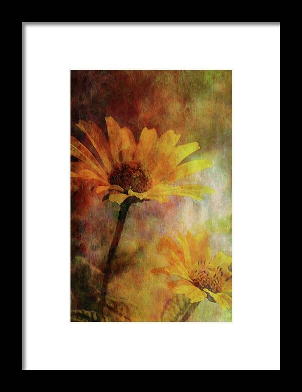 Lost Framed Print featuring the photograph Lost Yellow Blossoms 3885 LDP_2 by Steven Ward