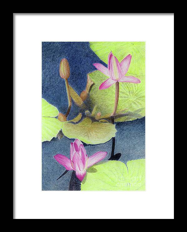 Lotus Framed Print featuring the drawing Lotus by Jackie Irwin