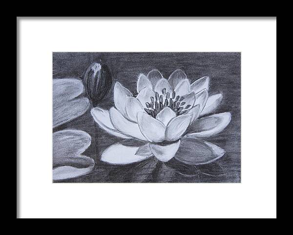  Framed Print featuring the drawing Lotus by Vesna Martinjak