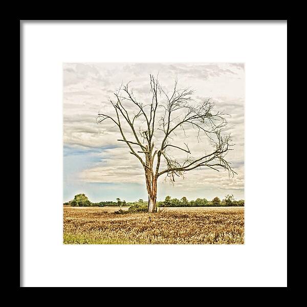 Backroads Framed Print featuring the photograph Louisiana Country Roads #hdr by Scott Pellegrin