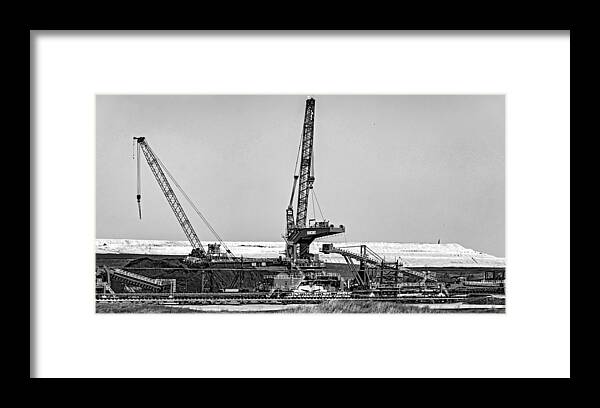 Nola Framed Print featuring the photograph Louisiana Giant 4 - bw by Steve Harrington