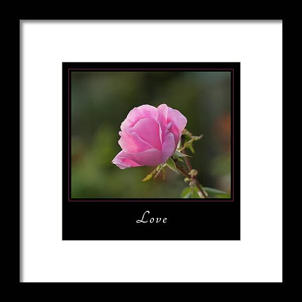 Inspiration Framed Print featuring the photograph Love 2 by Mary Jo Allen