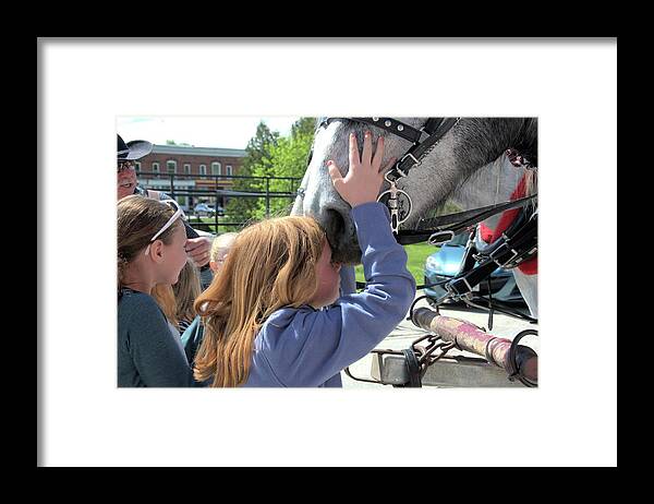 Horse Framed Print featuring the photograph Love at First Sight by Valerie Kirkwood