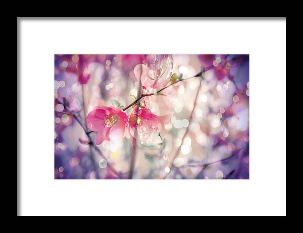 Flowers Framed Print featuring the photograph Love Song by Toni Hopper