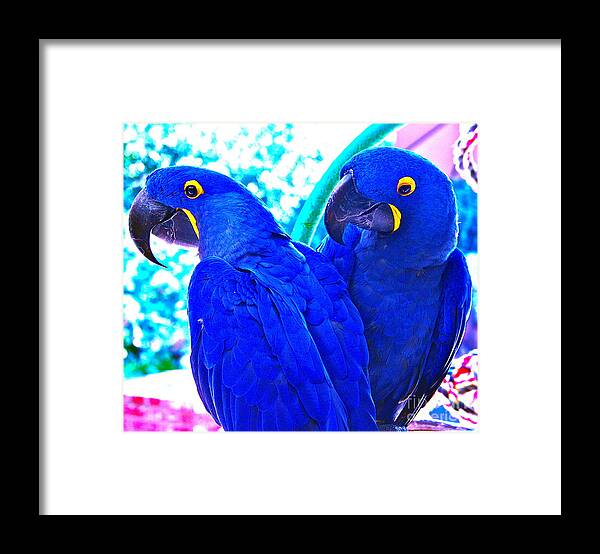 Photograph Framed Print featuring the photograph Love You Too by Gwyn Newcombe