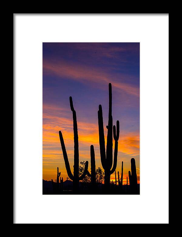 Sunset Framed Print featuring the photograph Lovely Arizona by Matt Cohen