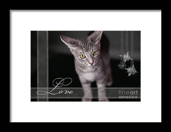 Digital Photography Framed Print featuring the photograph Lovely face card by Afrodita Ellerman