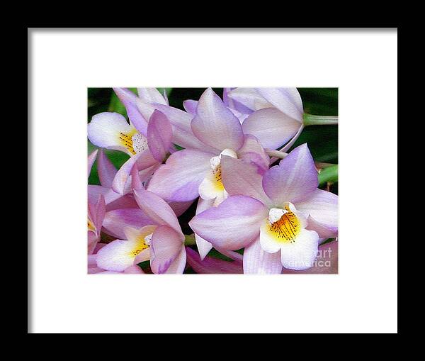 Orchid Framed Print featuring the photograph Lovely Orchid Family by Sue Melvin