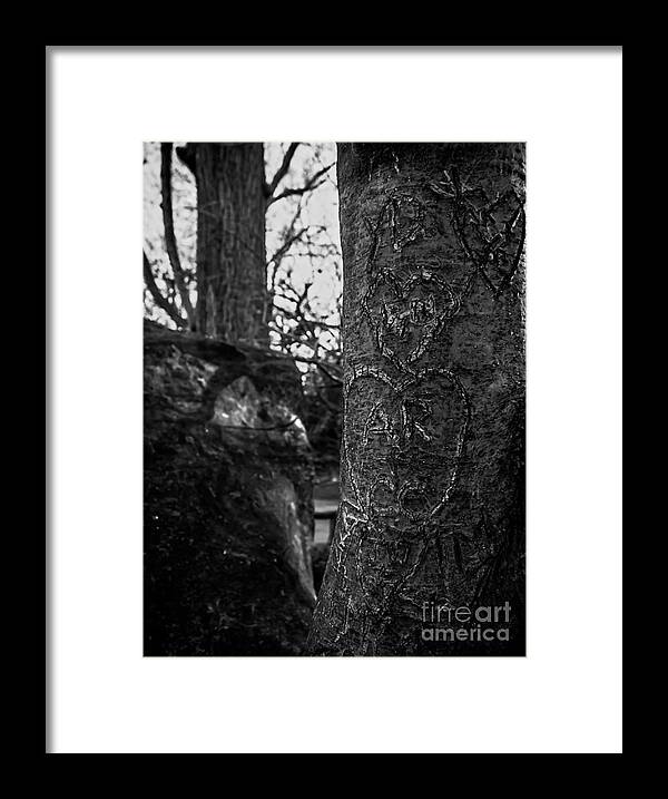 Tree Framed Print featuring the photograph Love's Scars in Central Park - BW by James Aiken