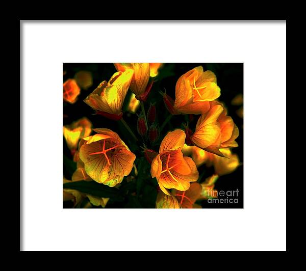 Yellow Framed Print featuring the photograph Luminous by Elfriede Fulda