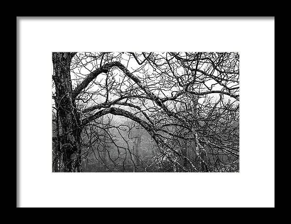 Black And White Forests Framed Print featuring the photograph LURE of MYSTERY by Karen Wiles