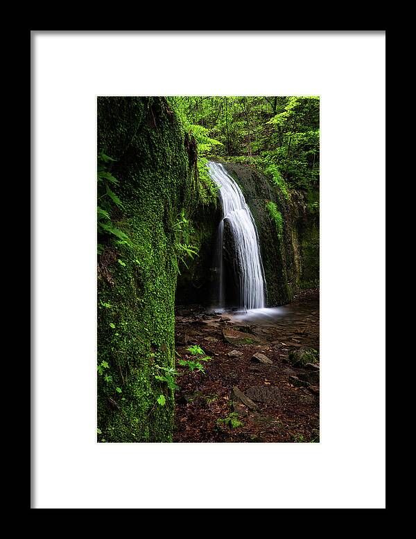 Waterfall Framed Print featuring the photograph Lush by Brad Bellisle