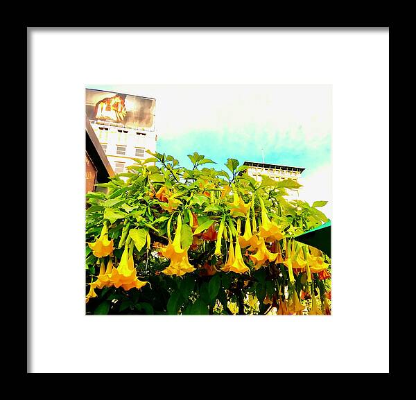 Lush Framed Print featuring the photograph Lush Trumpet Vines in Union Square in San Francisco by Kenlynn Schroeder