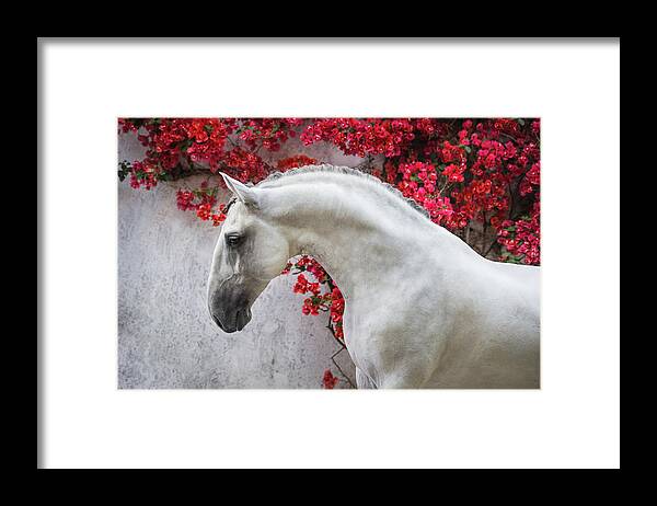 Russian Artists New Wave Framed Print featuring the photograph Lusitano Portrait in Red Flowers by Ekaterina Druz