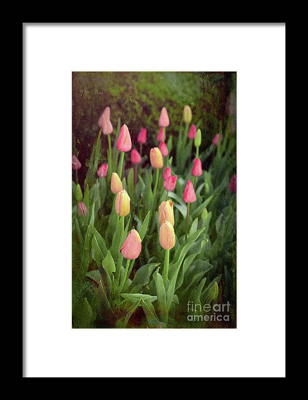 Tulip Framed Print featuring the photograph Tulips Starting to Bloom by Lynn Sprowl