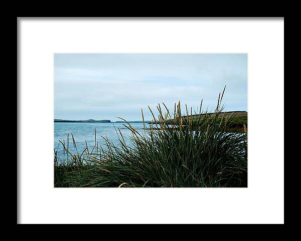 Lyme Grass Framed Print featuring the photograph Lyme Grass by Marilynne Bull