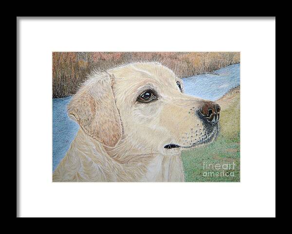 Lynwater Sunny Alex Framed Print featuring the drawing Lynwater Sunny Alex by Yvonne Johnstone