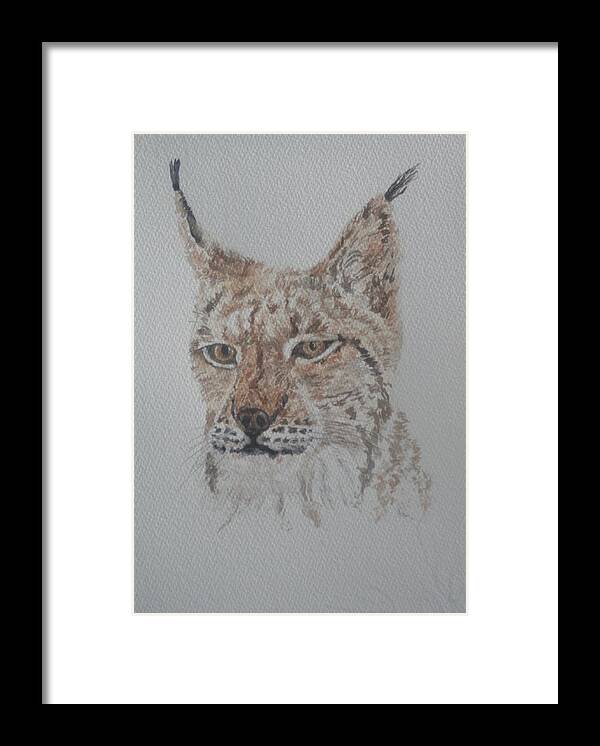 Cushion Framed Print featuring the painting Lynx Portrait by David Capon