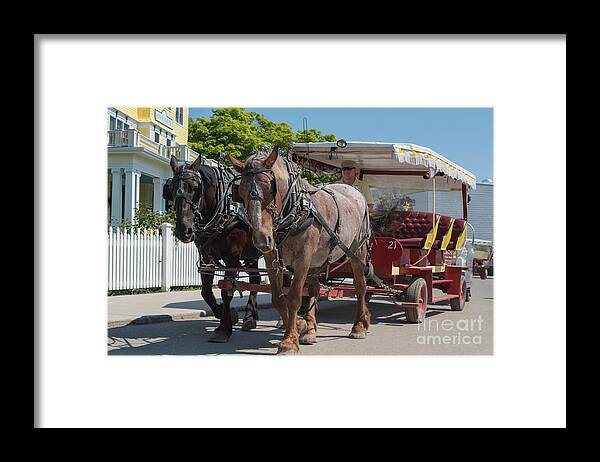 Mackinac Framed Print featuring the photograph Mackinac Island Horse Carriage by Wesley Farnsworth