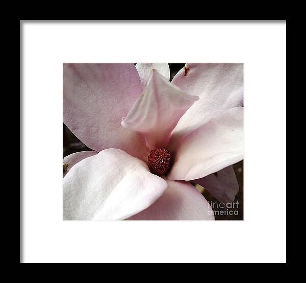 Flower Framed Print featuring the photograph Macro in Pink by Caryl J Bohn