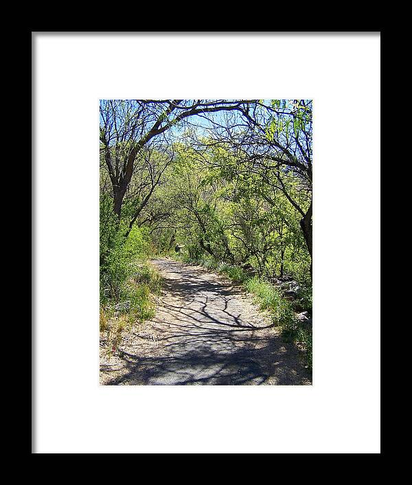 Cacti Framed Print featuring the photograph Madera Canyon Path by Teresa Stallings