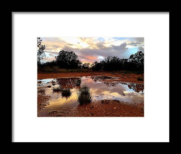 Rain Framed Print featuring the photograph Magic in a Rain Puddle by Brad Hodges