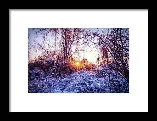 Magic Of Winter Framed Print featuring the mixed media Magic of Winter by Lilia S