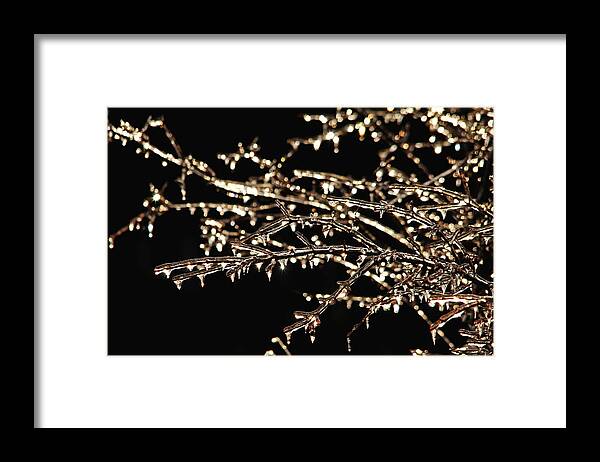 Nature Abstract Framed Print featuring the photograph Magic Show by Debbie Oppermann