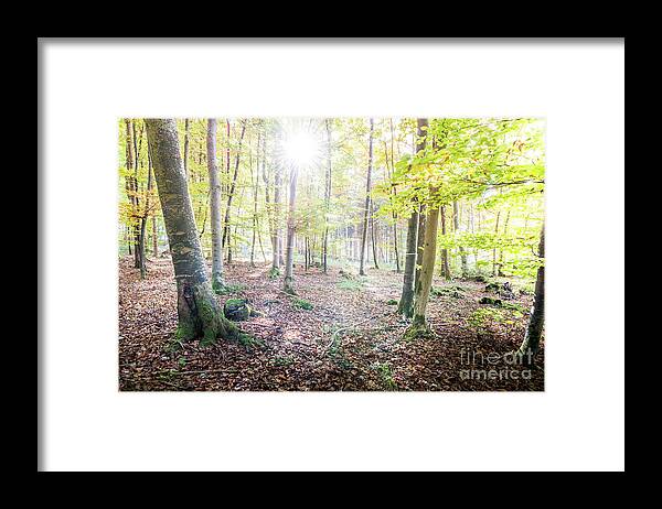 Autumn Framed Print featuring the photograph magical moment II by Hannes Cmarits