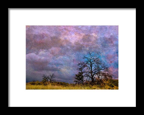 Trees Framed Print featuring the photograph Magical sky by Carolyn D'Alessandro