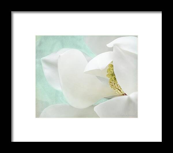 Magnolia Framed Print featuring the photograph Magnolia Blossom, Soft Dreamy Romantic White Aqua Floral by Melissa Bittinger