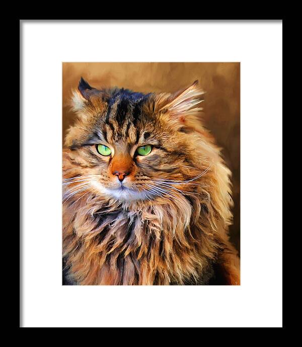Maine Coon Framed Print featuring the painting Maine Coon Cat by Jai Johnson