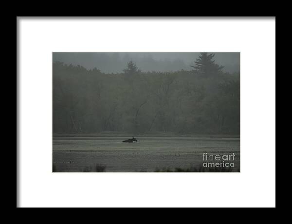 Maine Framed Print featuring the photograph Maine by David Rucker