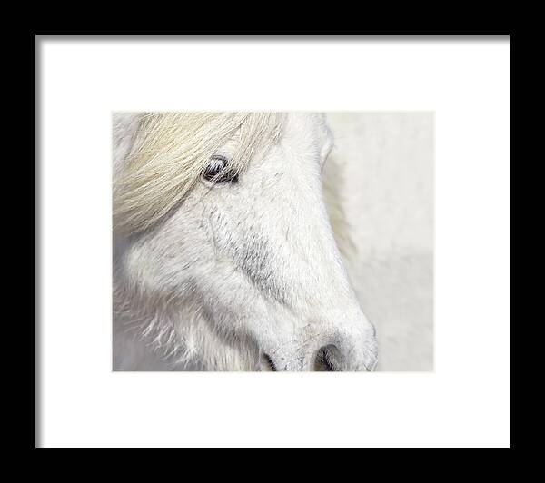 Majestic Framed Print featuring the photograph Majestic by Amanda Smith