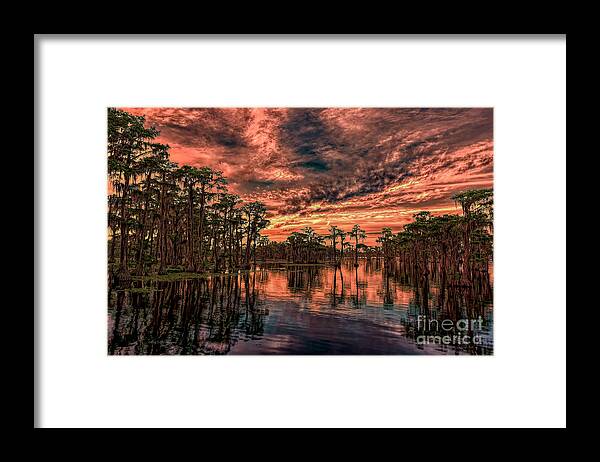 Sunsets Framed Print featuring the photograph Majestic Cypress Paradise Sunset by DB Hayes