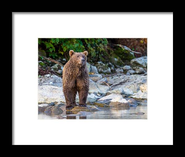 Alaska Framed Print featuring the photograph Majestic by Kevin Dietrich