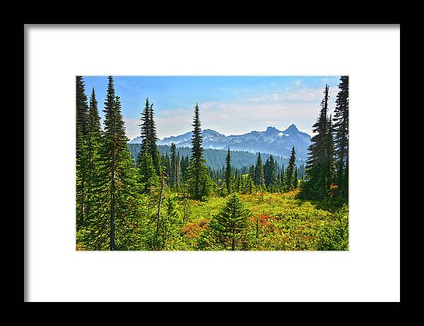 Mountains Framed Print featuring the photograph Majestic Meadows by Angelo Marcialis