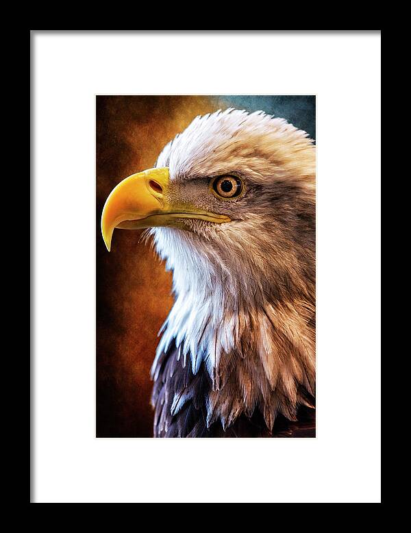 Bald Eagle Framed Print featuring the photograph Make America Proud Again by Bill and Linda Tiepelman