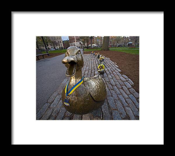Boston Framed Print featuring the photograph Make Way For Ducklings B.A.A. 5k by Toby McGuire