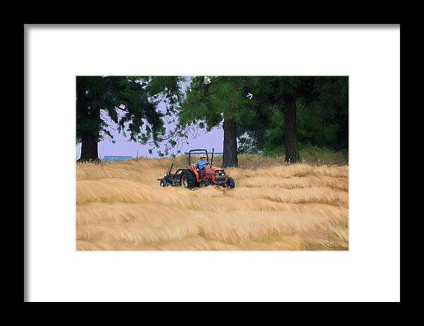 Agricultural Framed Print featuring the digital art Making Hay by Debra Baldwin