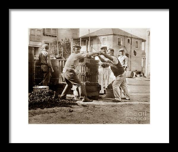 Italians Framed Print featuring the photograph Italians Making wine old wine press Monterey Circa 1920 by Monterey County Historical Society