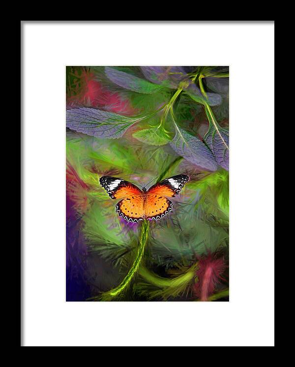 Mixed Media Photo Art. Mixed Media Fine Art Photography. Mixed Media Greeting Cards. Colorado Photography. Landscape Photography. Colorado Fine Art Photography. Framed Print featuring the digital art Malay Lacewing What A Great Place by James Steele