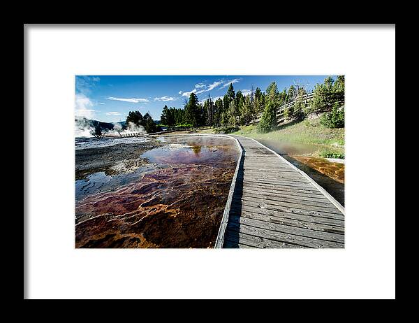 Nature Framed Print featuring the photograph Mammoth Hot Springs Boardwalk by Crystal Wightman