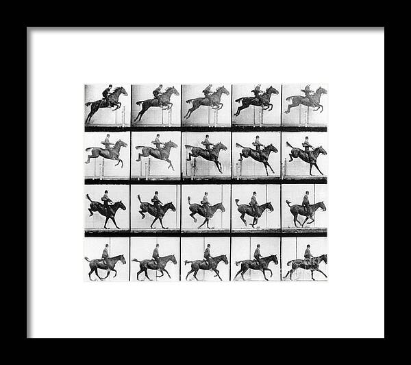 Muybridge Framed Print featuring the photograph Man and Horse jumping by Eadweard Muybridge