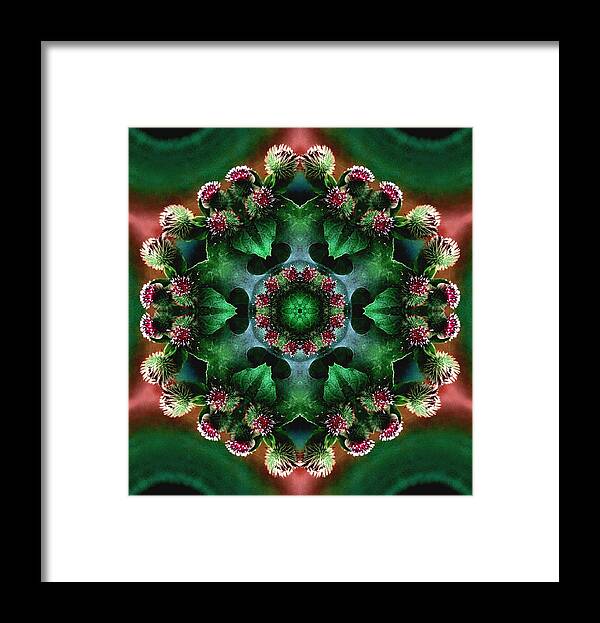 Plants Framed Print featuring the photograph Mandala Bull Thistle by Nancy Griswold