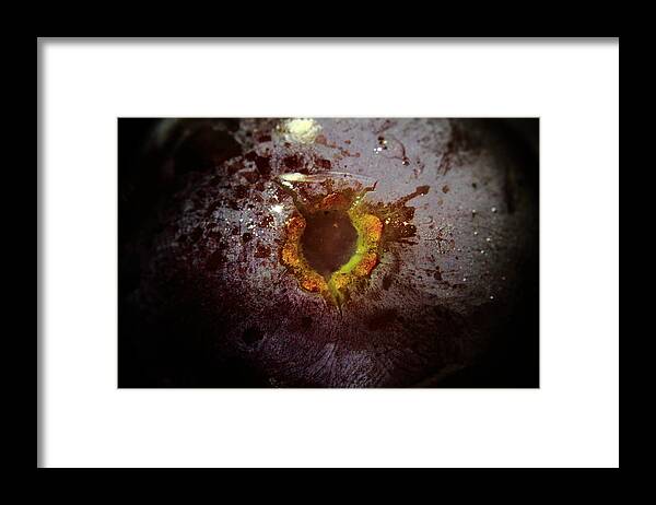 Grape Framed Print featuring the photograph Manfred's Sphincter by Kreddible Trout