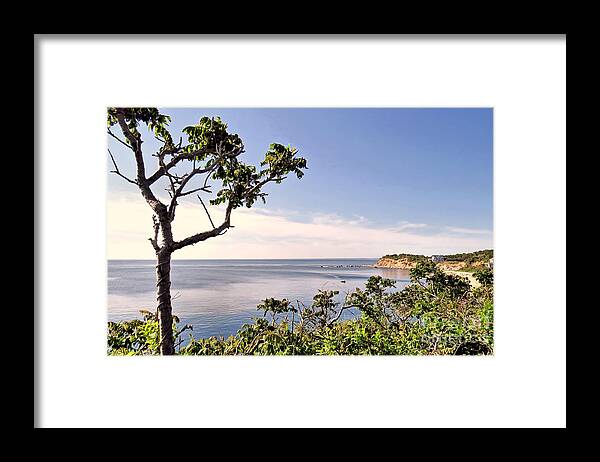 Manomet Bluffs Framed Print featuring the photograph Manomet by Janice Drew