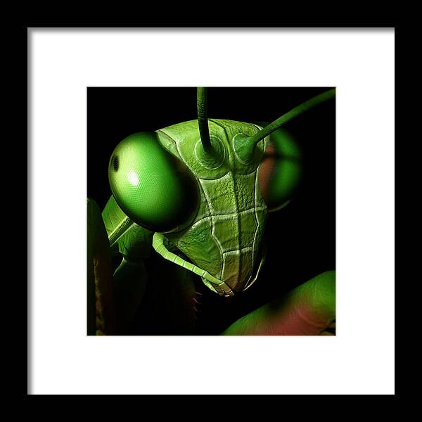 Praying Mantis Framed Print featuring the digital art Mantis Head by Matthew Lindley